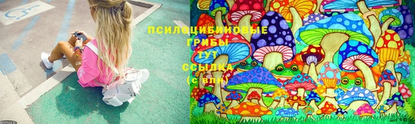 спайс Надым
