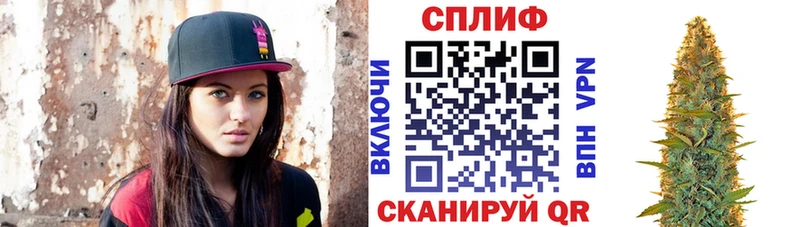 Бошки Шишки план  где продают наркотики  Ясногорск 